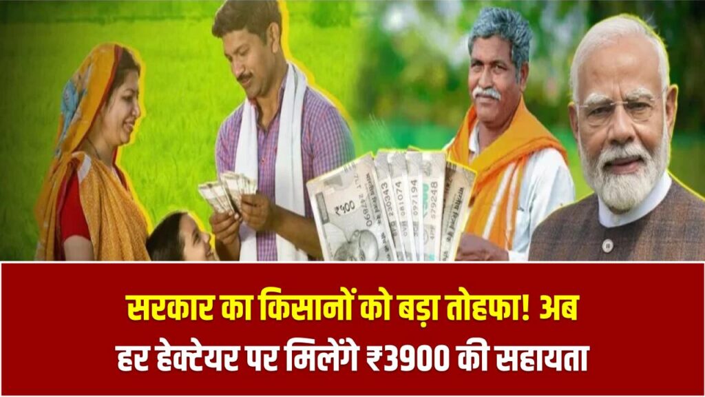 सरकार का किसानों को बड़ा तोहफा! अब हर हेक्टेयर पर मिलेंगे ₹3900 की अतिरिक्त सहायता 1 सरकार का किसानों को बड़ा तोहफा! अब हर हेक्टेयर पर मिलेंगे ₹3900 की अतिरिक्त सहायता