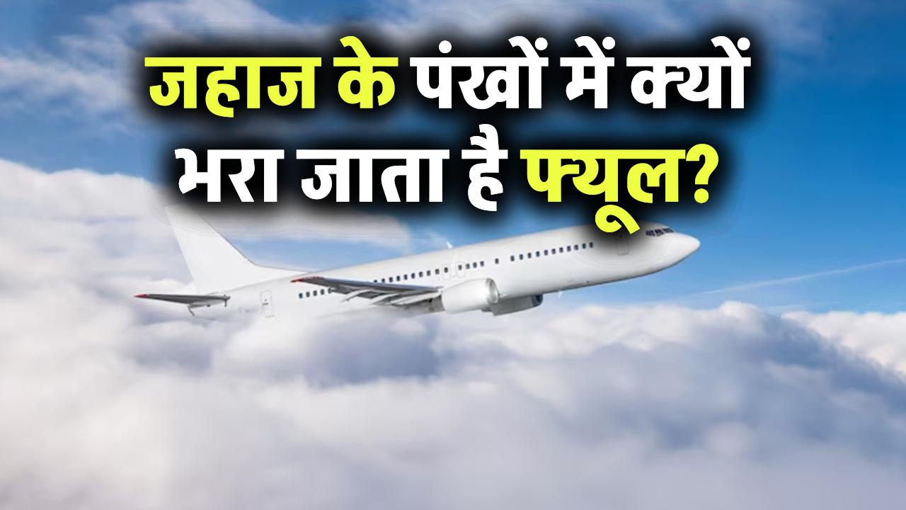 जहाज के पंखों में क्यों भरा जाता है फ्यूल? वजह जानकर उड़ जाएंगे होश, क्या आप जानते थे?
