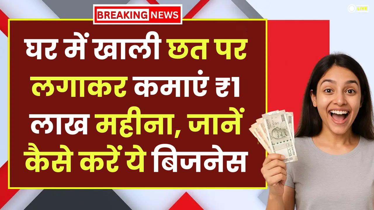 Business Idea: घर में खाली छत पर लगाकर कमाएं ₹1 लाख महीना, जानें कैसे करें ये बिजनेस